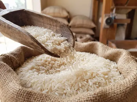 Long-grain basmati rice pouring from a wooden scoop into a jute sack